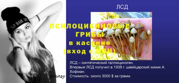 твердый Белокуриха
