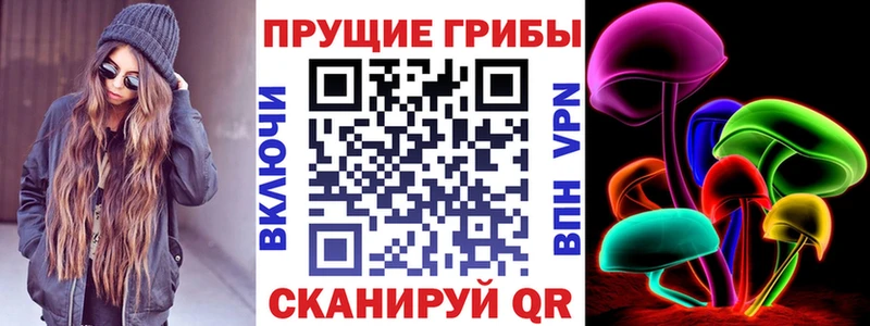 Псилоцибиновые грибы мицелий купить наркоту Кизляр